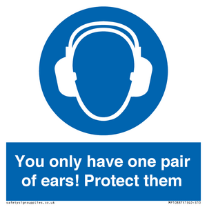 Mandatory: You only have one pair of ears! Protect them